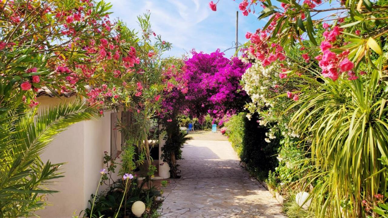Villa Provencale A Sainte Maxime, Golf De Saint Tropez Ngoại thất bức ảnh