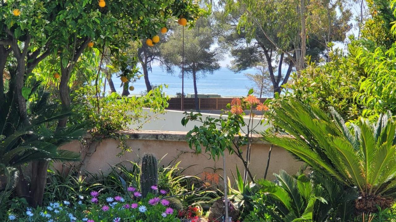 Villa Provencale A Sainte Maxime, Golf De Saint Tropez Ngoại thất bức ảnh
