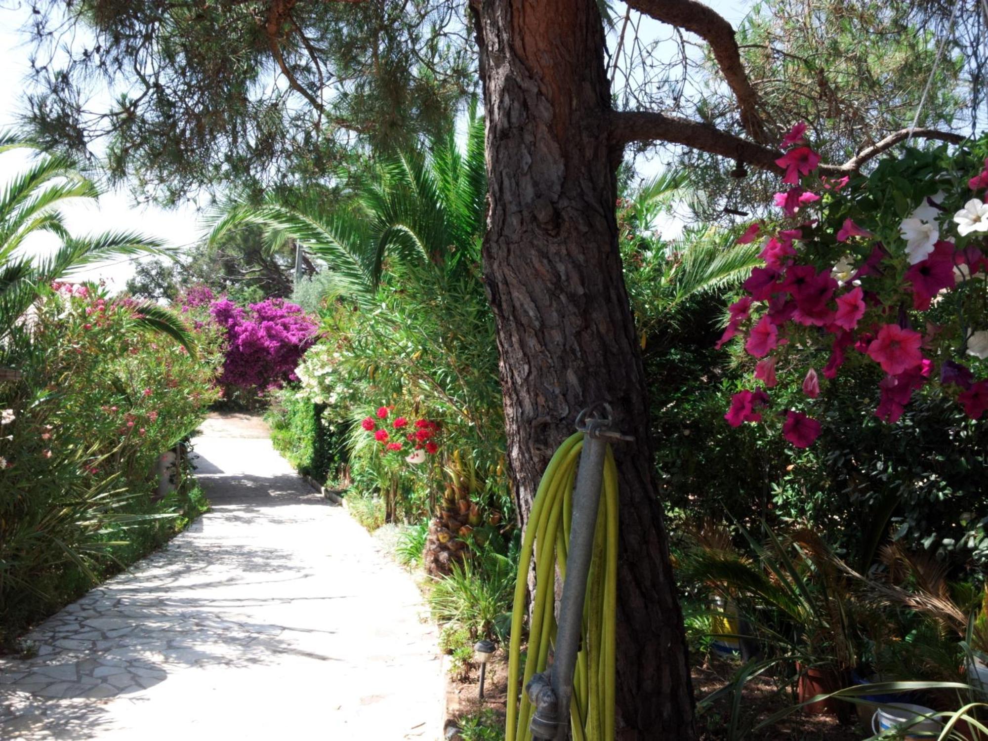 Villa Provencale A Sainte Maxime, Golf De Saint Tropez Ngoại thất bức ảnh